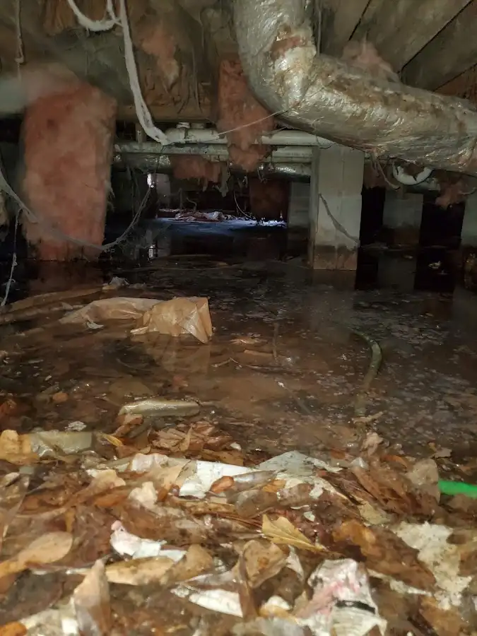 Crawl space flood assessment for Leak Detection & Repair in Carrollton